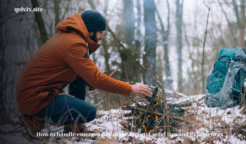 How to handle emergencies in the forest: Useful tips and experiences
