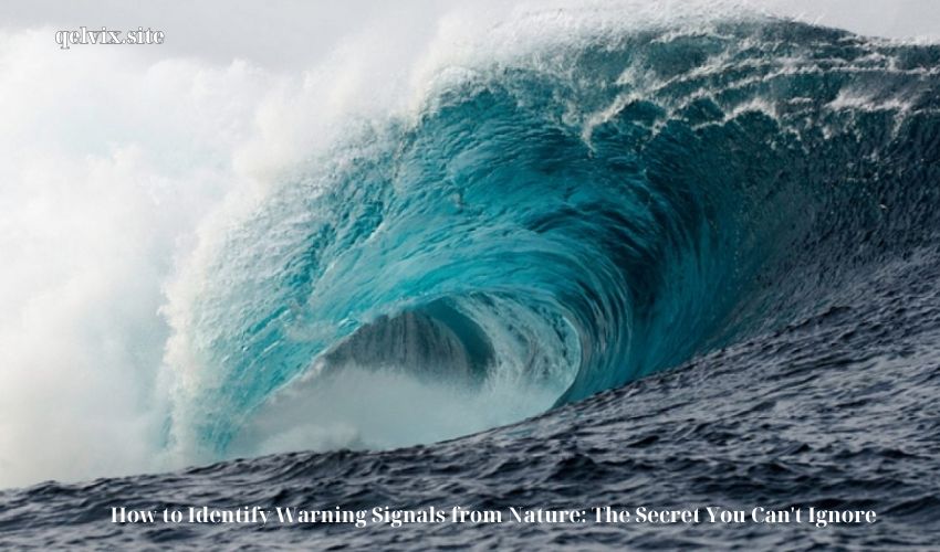 How to Identify Warning Signals from Nature: The Secret You Can’t Ignore