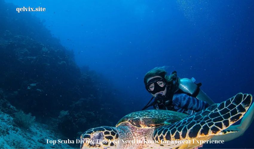 Top Scuba Diving Tips You Need to Know for a Great Experience